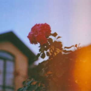 Sương (feat. Vương Cây)