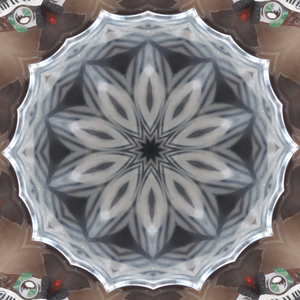 The Drum is the spirit horse that carries us between worlds