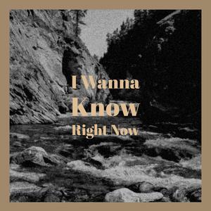 Tonight You Belong To Me