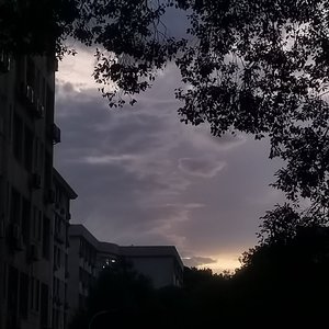 要不然我们就这样一万年