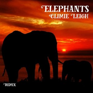 Elephants (Remix)