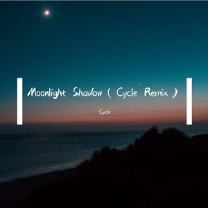 Dana Winner-Moonlight Shadow（Cycle remix）