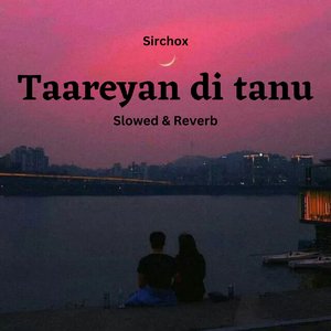 Taareyan di Tanu (Slowed & Reverb)