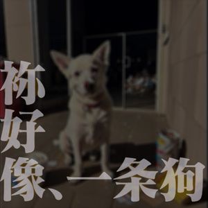 你好像一条狗DEMO-b