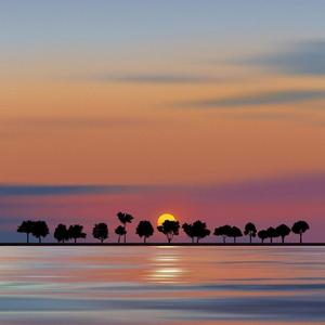 something in the rain （翻自林鹿言）