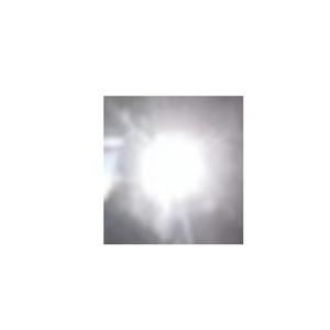 上海的最后一场雪