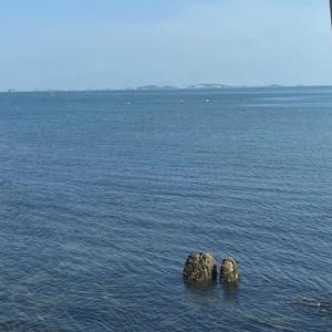 《我们的故事》