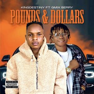 POUNDS & DOLLARS (feat. Gmix berry)
