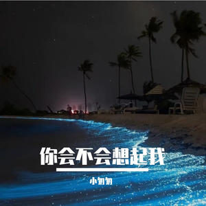 你会不会想起我（女声版）