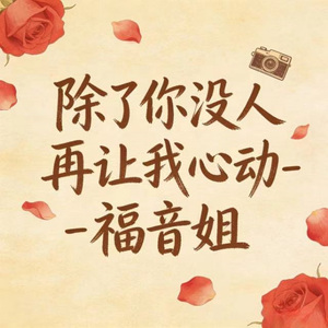 除了你没人再让我心动 (DJ版)