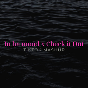 In Ha Mood x Check It Out (TikTok Mashup) (Remix)