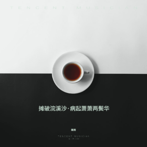 葬花吟（古筝独奏）