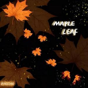 Maple leaf