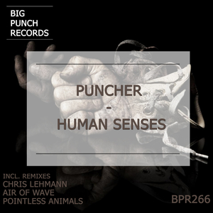 Human Senses (Pointless Animals Remix)