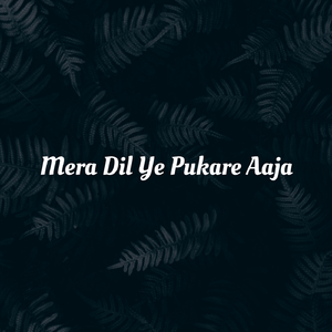 Mera Dil Ye Pukare Aaja