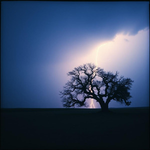 湾岸高速のはじまり