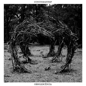 O Fenômeno da Degradação da Mente Humana Perante a Realidade