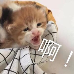 好运来（翻自 祖海）