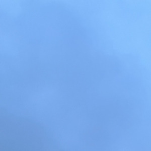 初夏、その余白から。