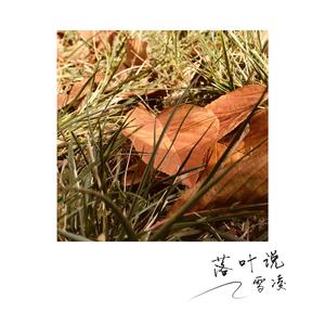 落叶说