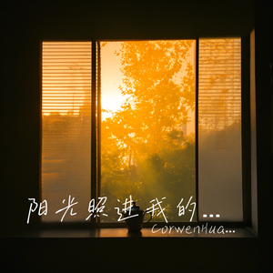 阳光照进我的窗