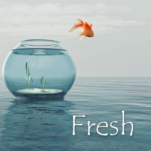 Fresh