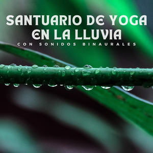 Atmosfera Rejuvenecedora Del Spa