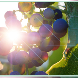 자연의 소리처럼 (자아치료, 청아한 테라피)