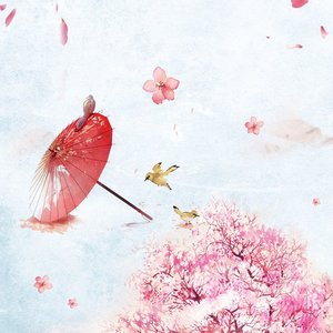 闻舟（Cover: 买辣椒也用券）