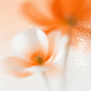 薄荷味的夏天（ Mint Summer）