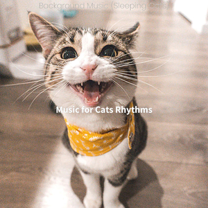 Inspiring (Relaxing Cats)