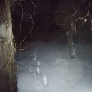 кв но 2