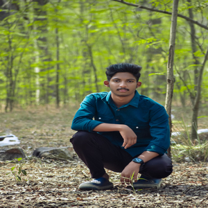Bargarh hata