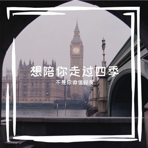 陪你走过的岁月