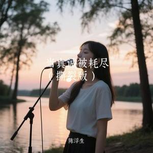 当真诚被耗尽  (陈浮生 Remix)