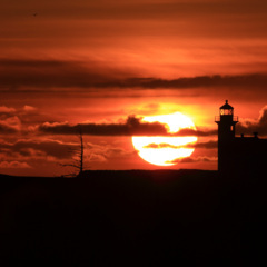 思念到底是什么