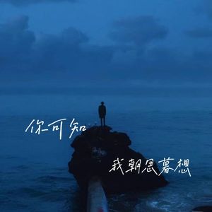 你可知我朝思暮想