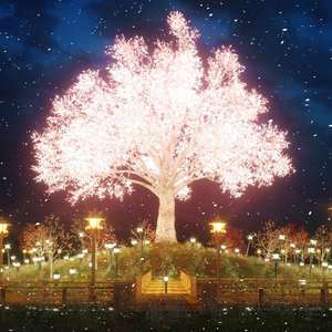 僕たちのTomorrow