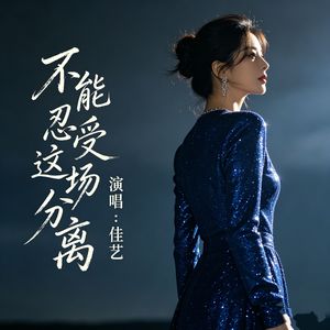 不能忍受这场分离(伴奏)