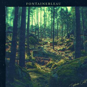 Fontainebleau