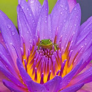 钢琴白噪音里的入眠序曲