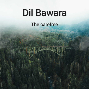 Dil Bawara