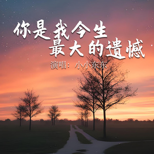 你是我今生最大的遗憾