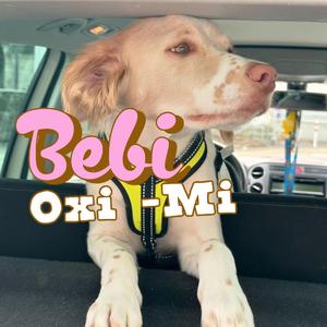 Bebi (Oxi Mi)