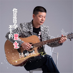 你是我放不下的思念