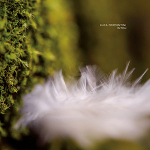 Have Bridges, Find Rivers