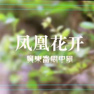 凤凰花开(广东番禺中学2018成人礼歌曲）