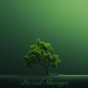 Ba’eed Shwaya