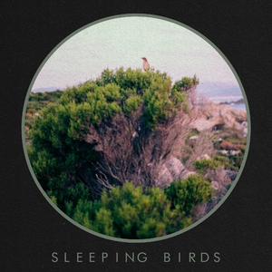 Sleeping Birds (SPA)