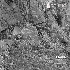 Chlorophytum (Original Mix)